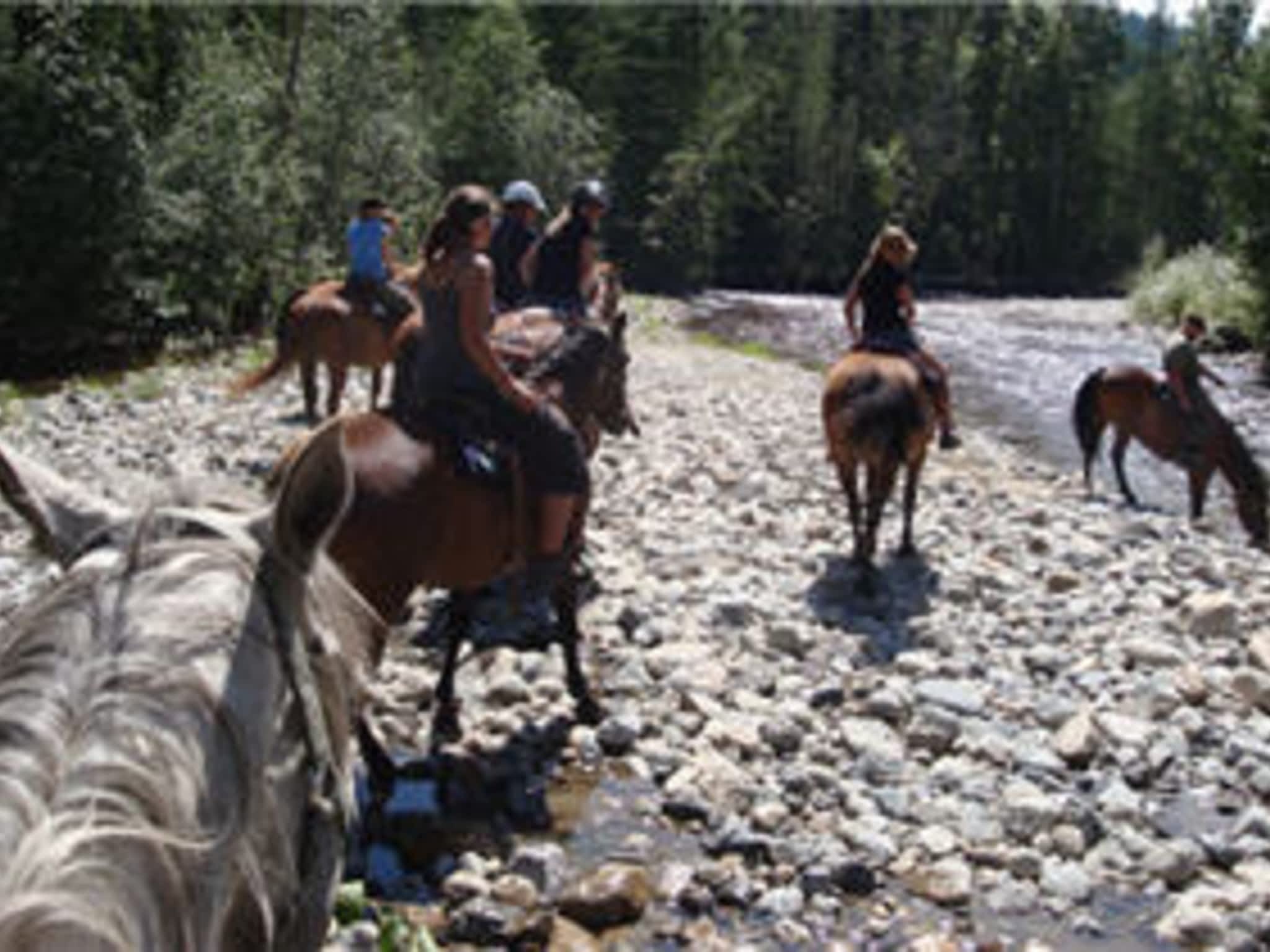 photo Okanagan Stables.com