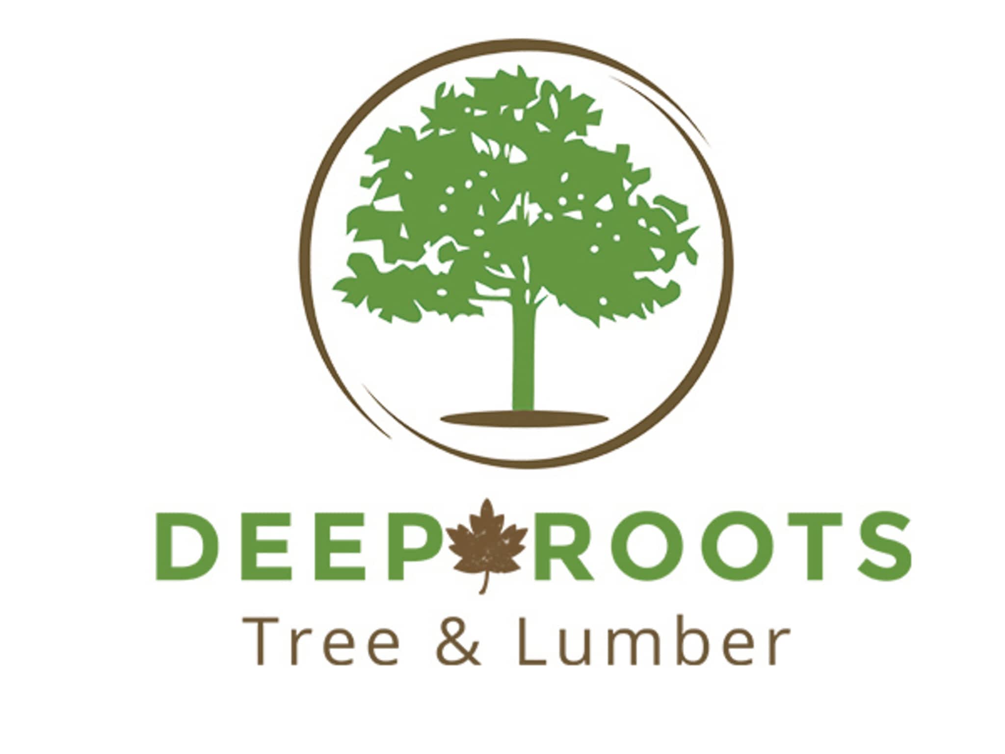 photo Deep Roots - Tree & Lumber