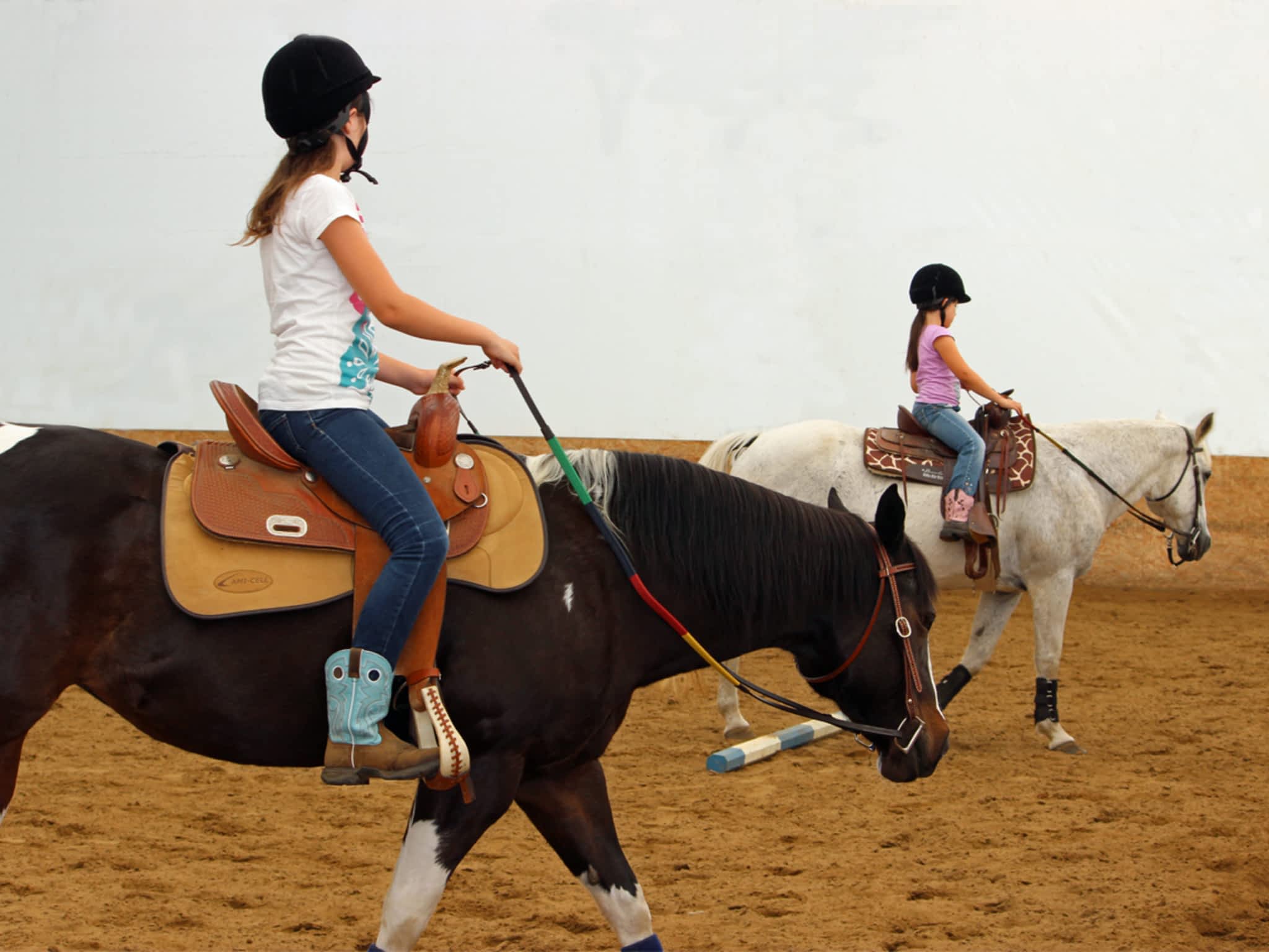 photo Les Écuries Pcd