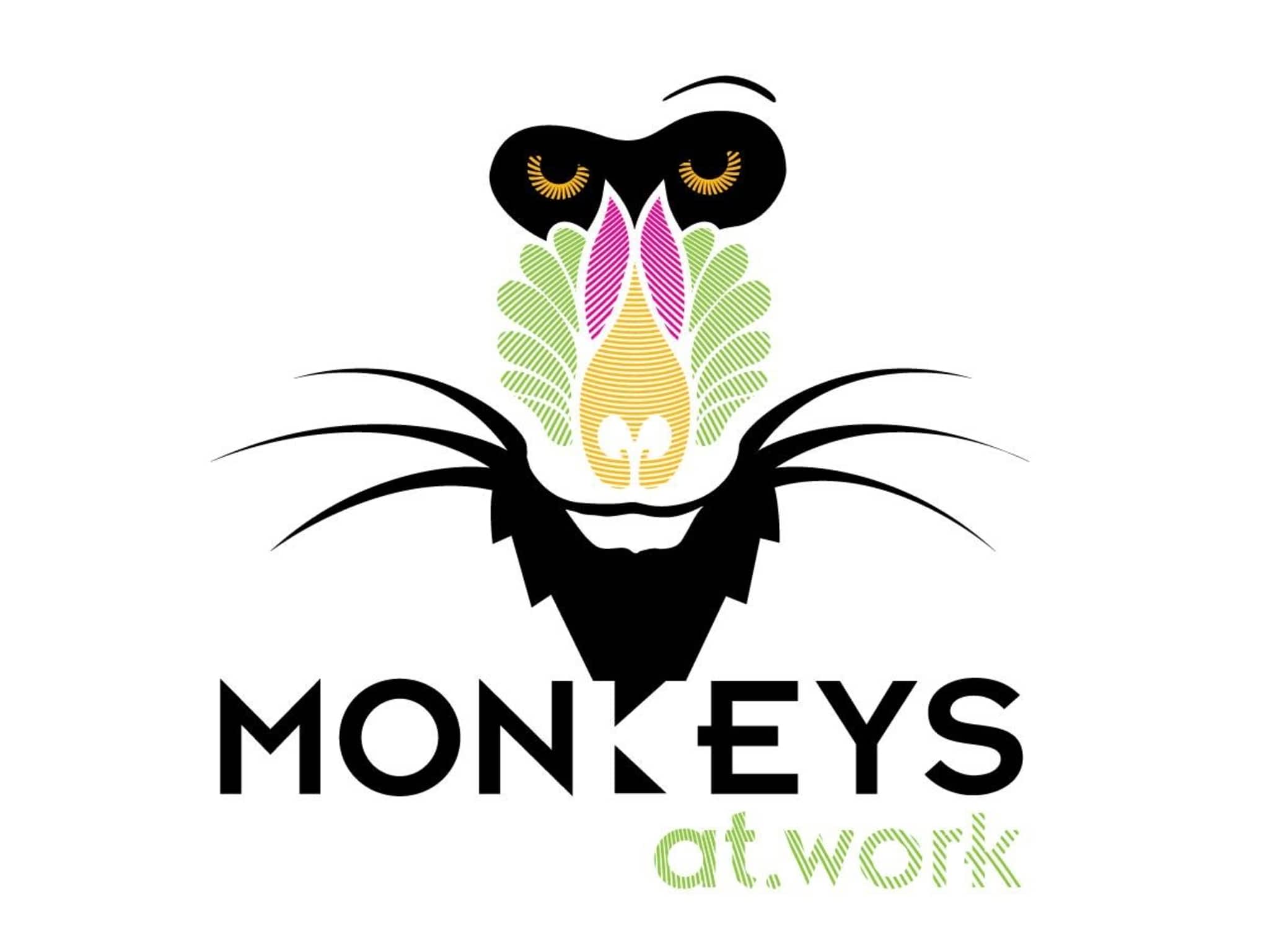photo Monkeys at Work
