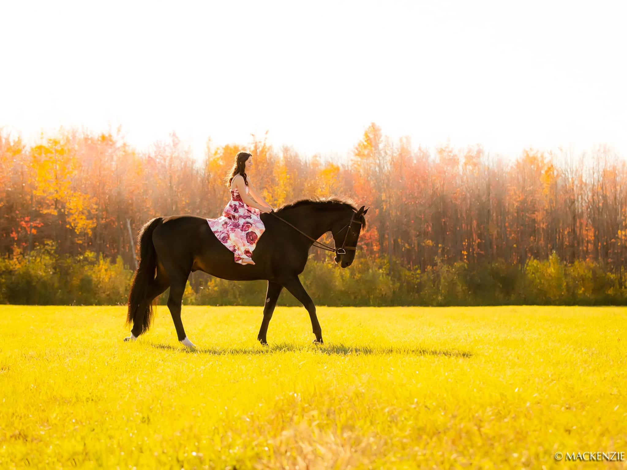 photo Wynbrook Equestrian Centre