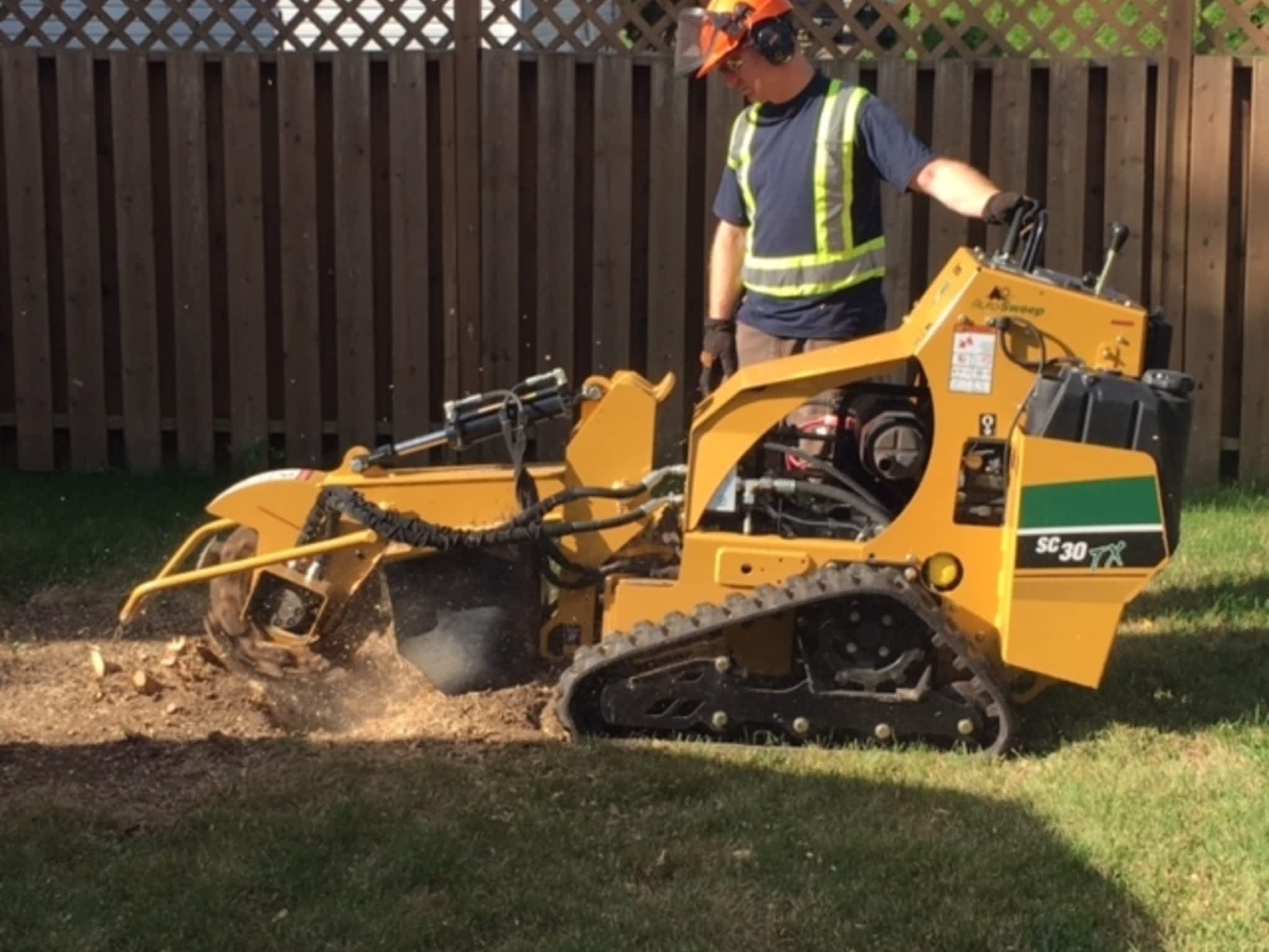 photo Deep Roots Quality Tree Services