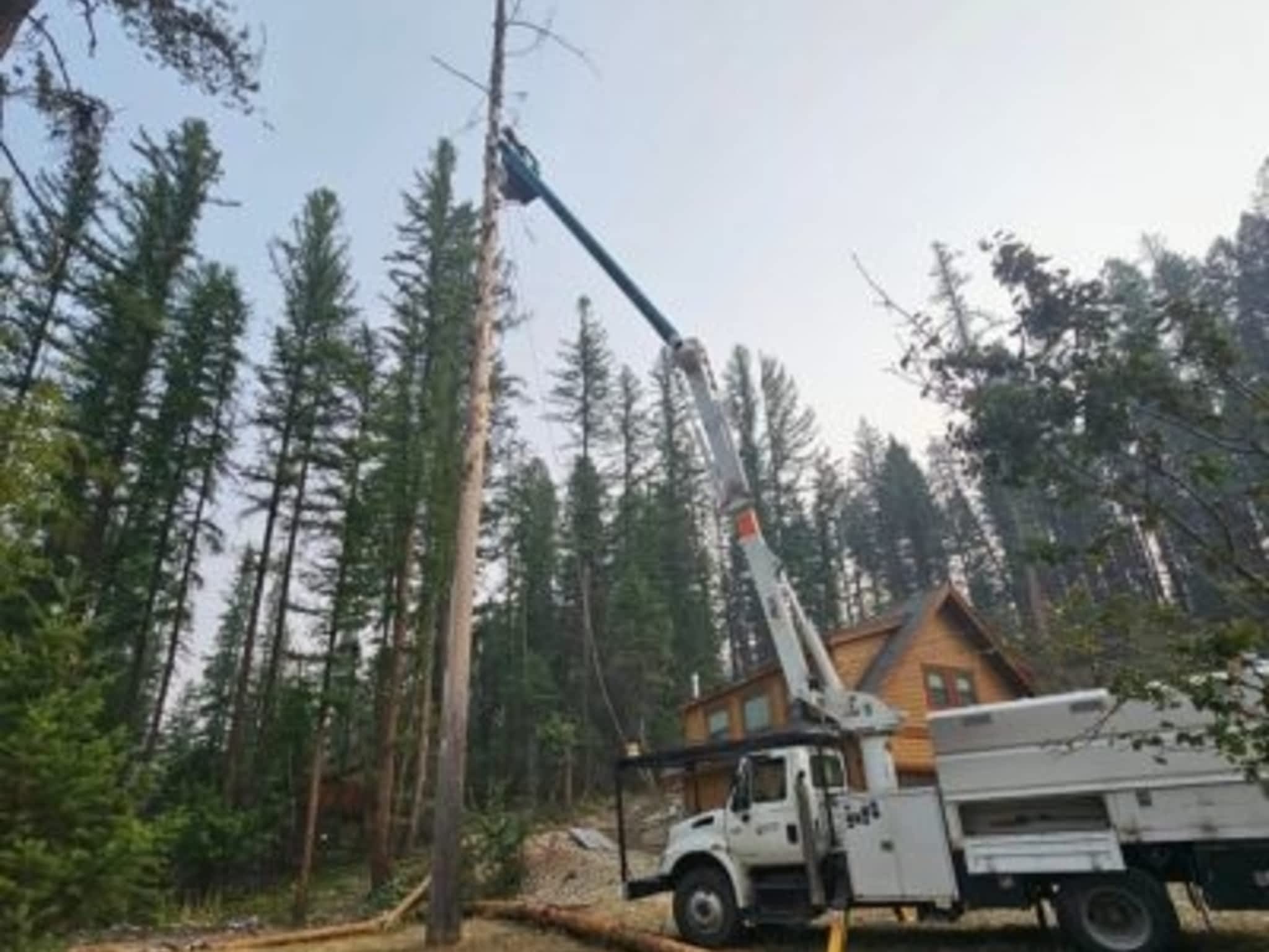 photo Scott Wills Tree Service