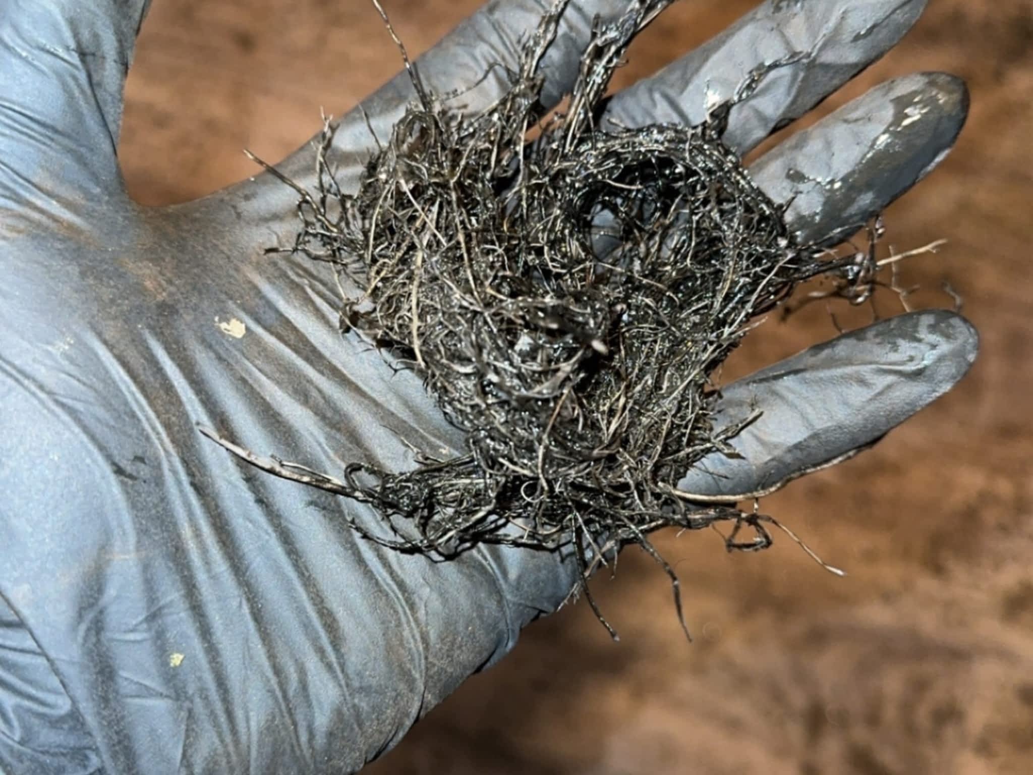 photo All Clear Drain Services