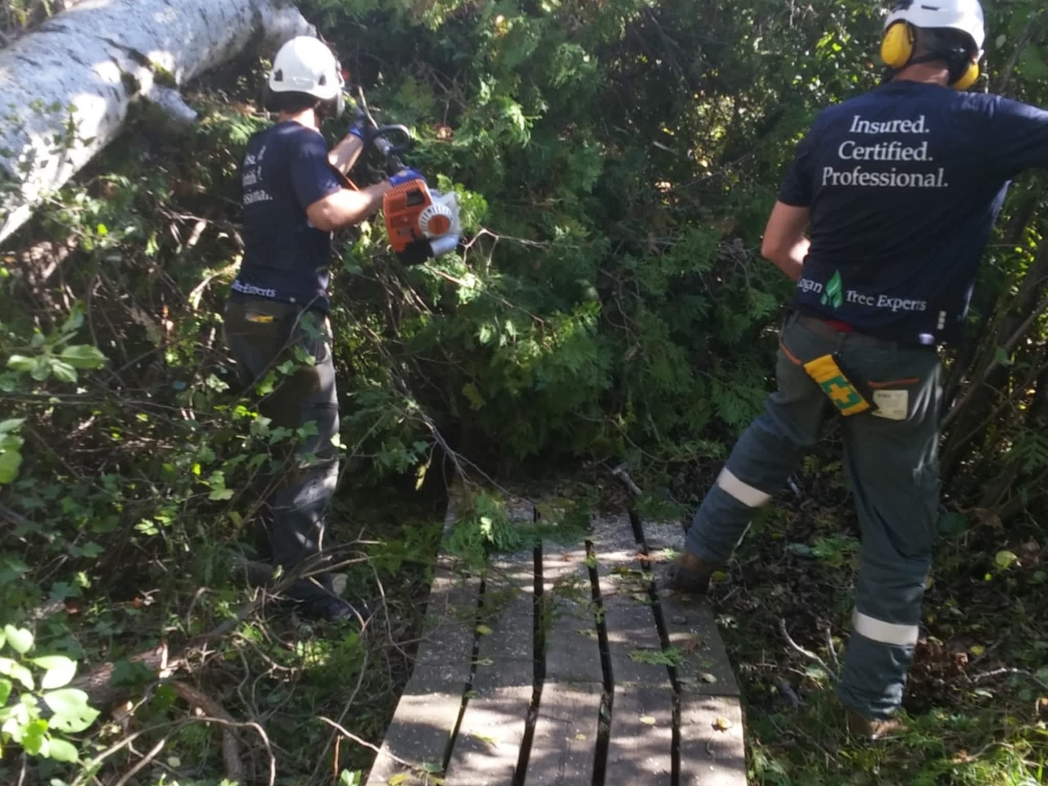 photo Logan Tree Experts