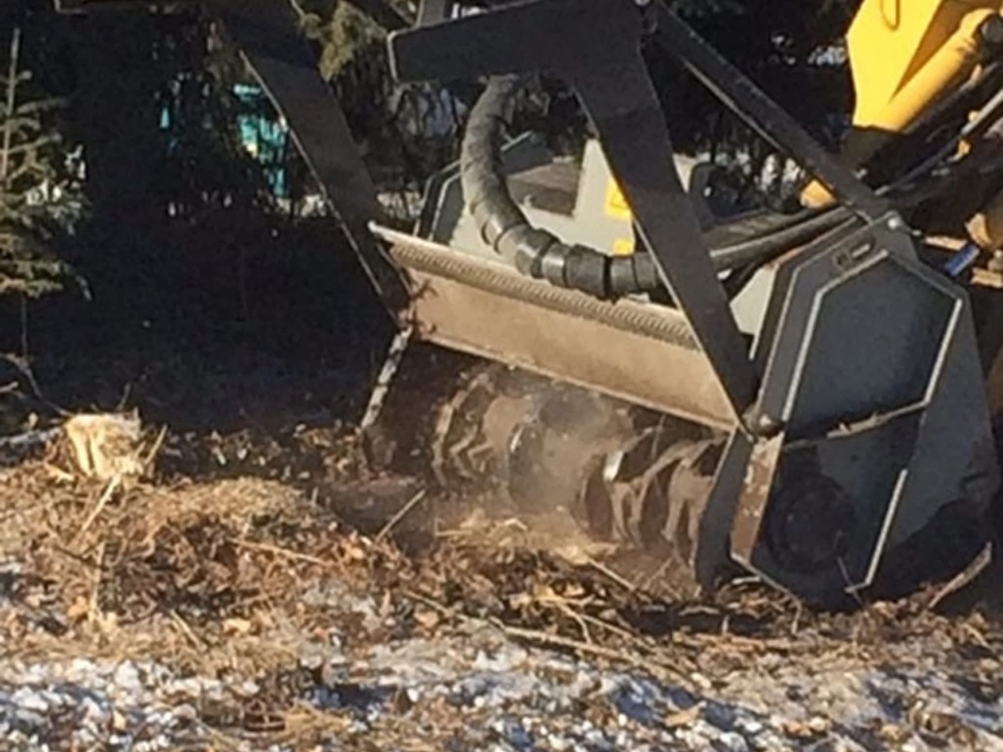 photo Skidstree Services