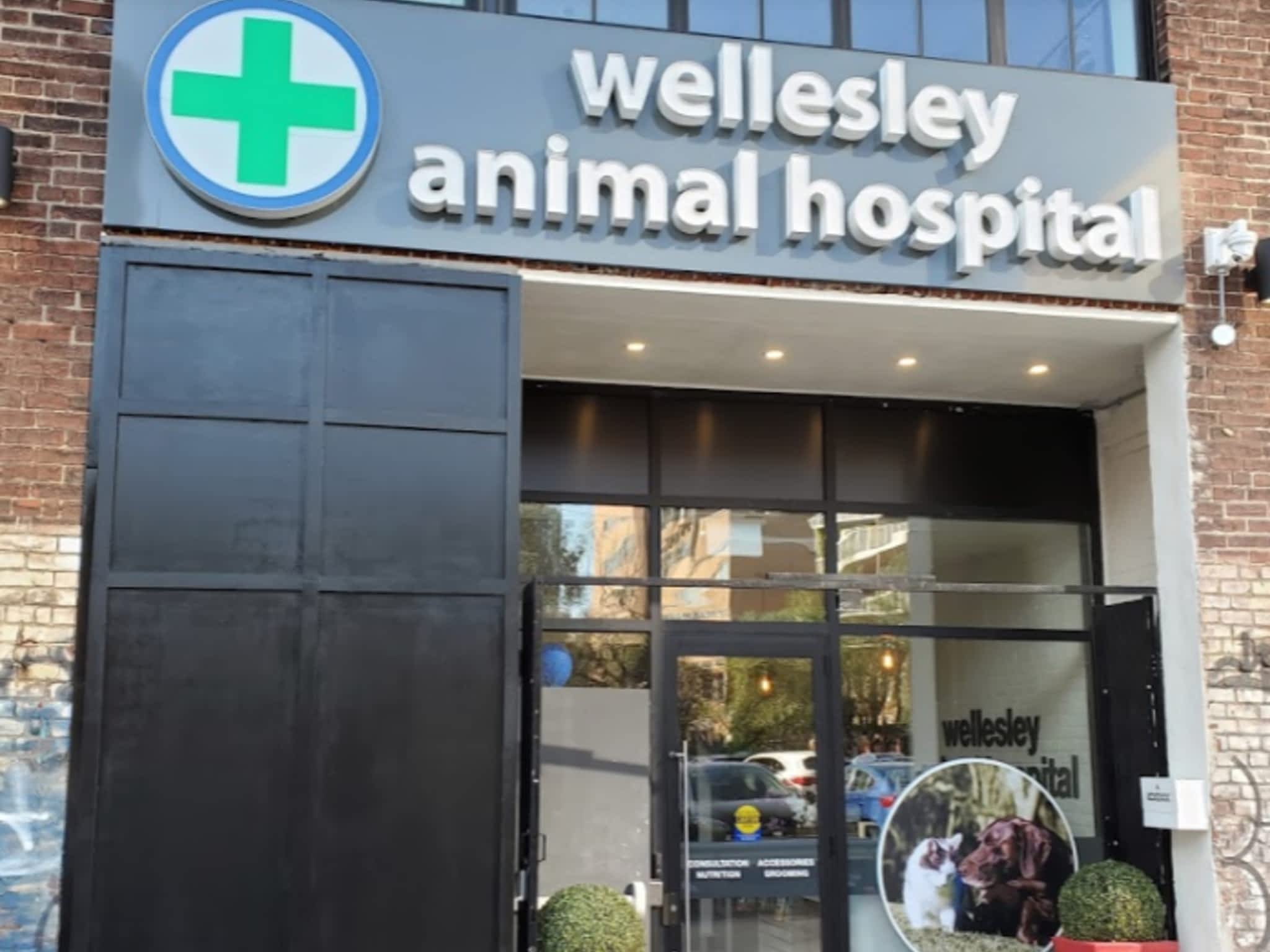 photo Wellesley Animal Hospital