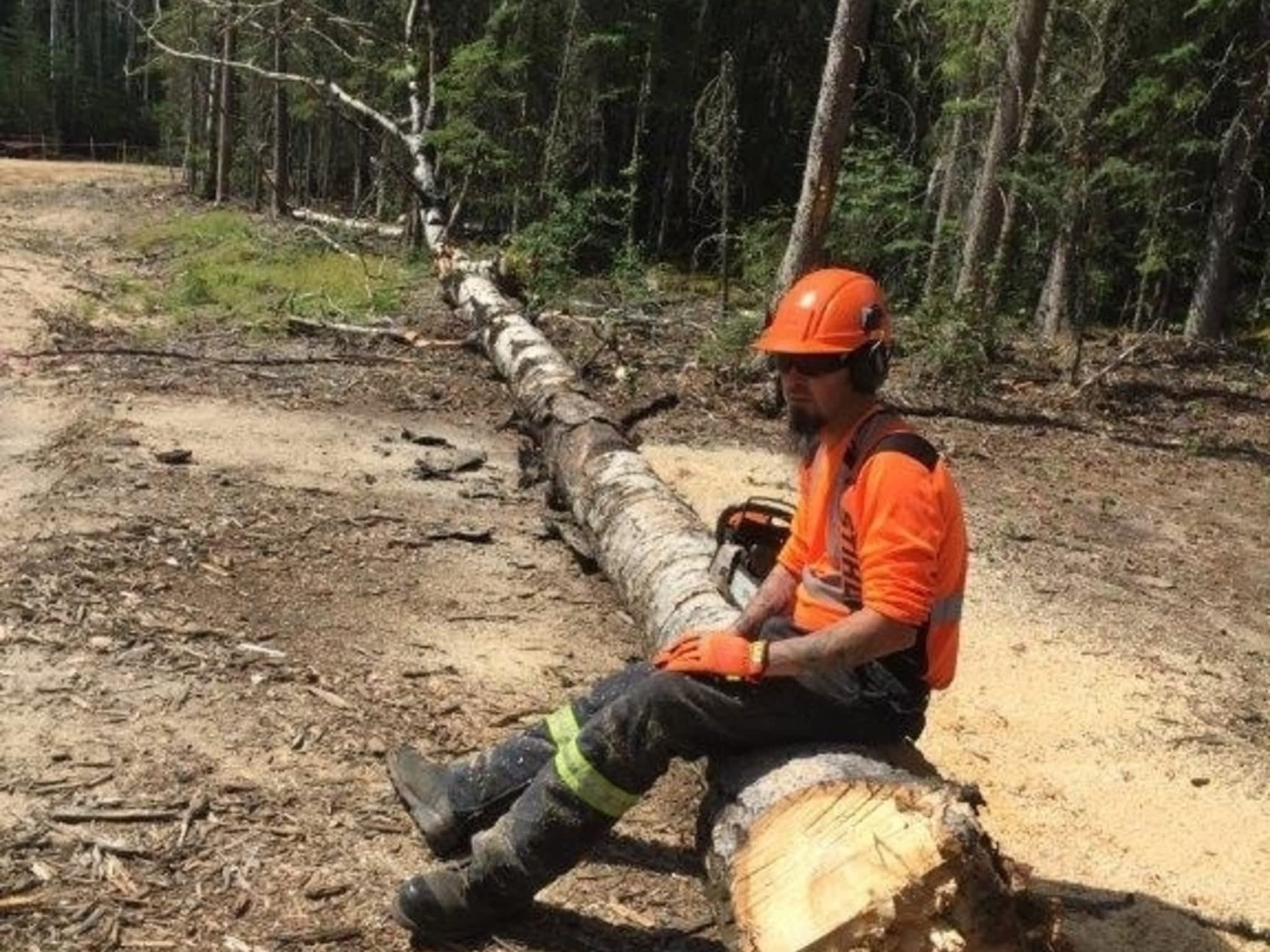 photo Limber Environmental Ltd