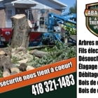 Abattage D'Arbres Tremblay - Service d'entretien d'arbres