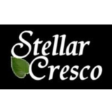 Voir le profil de Stellar vision inspections - Camrose