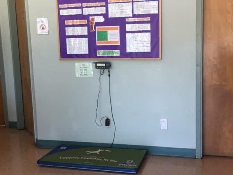 White Rock Veterinary Hospital Ltd - Opening Hours - 2460