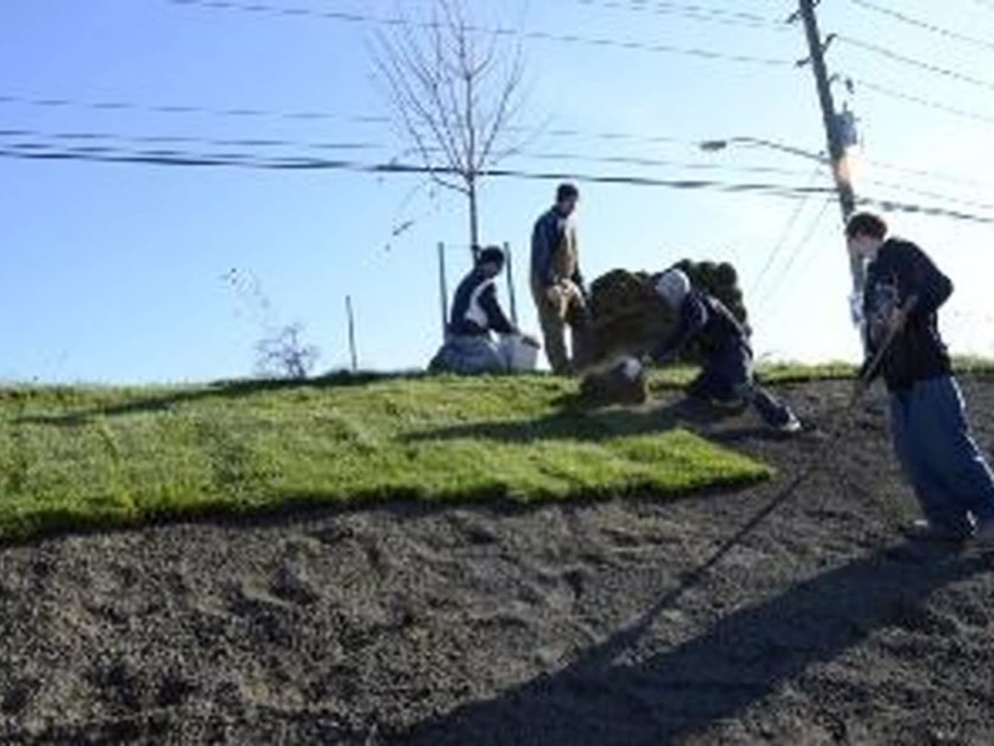 photo Queensville Sod Farms Limited