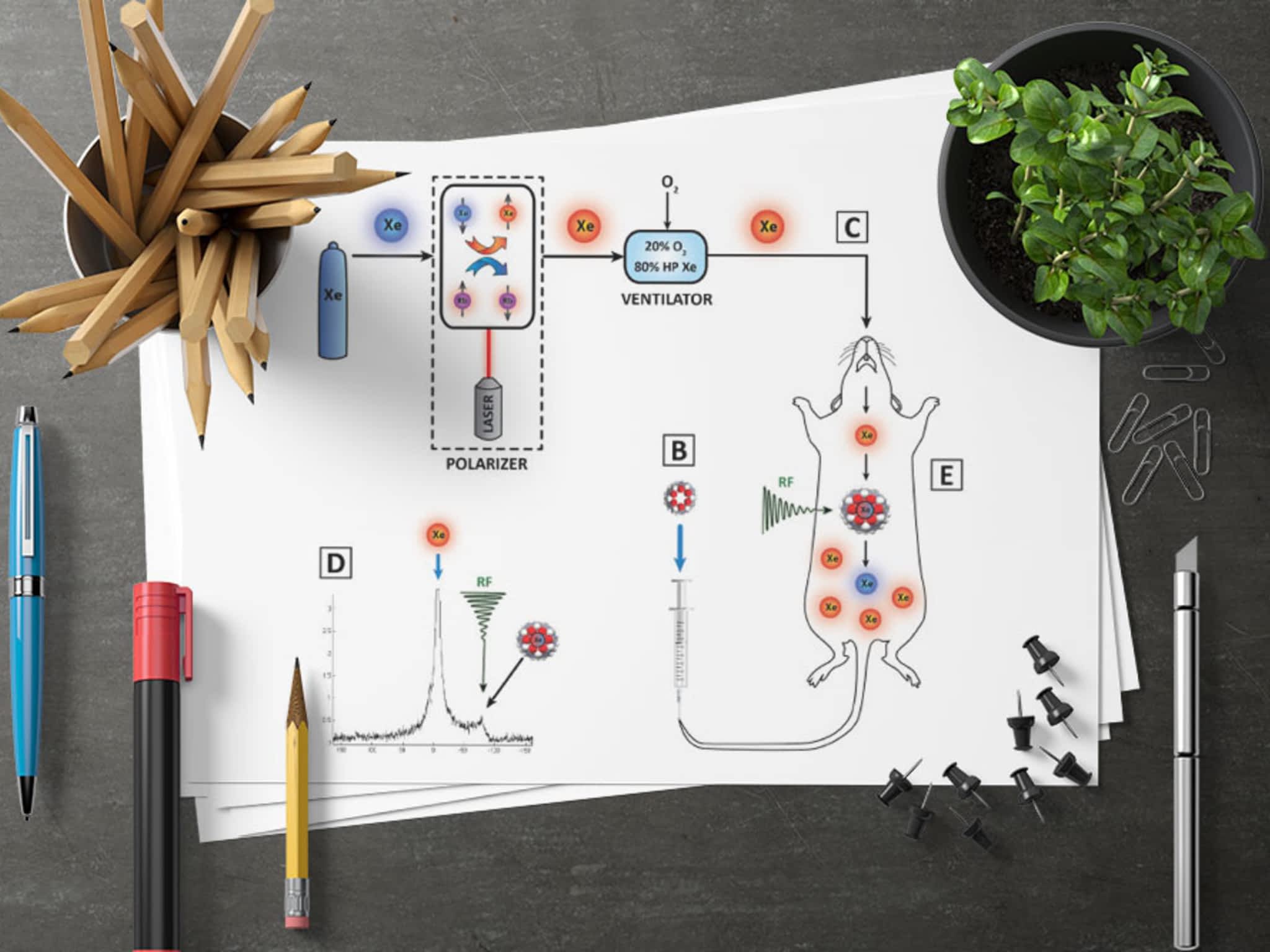 photo CryoDragon Inc