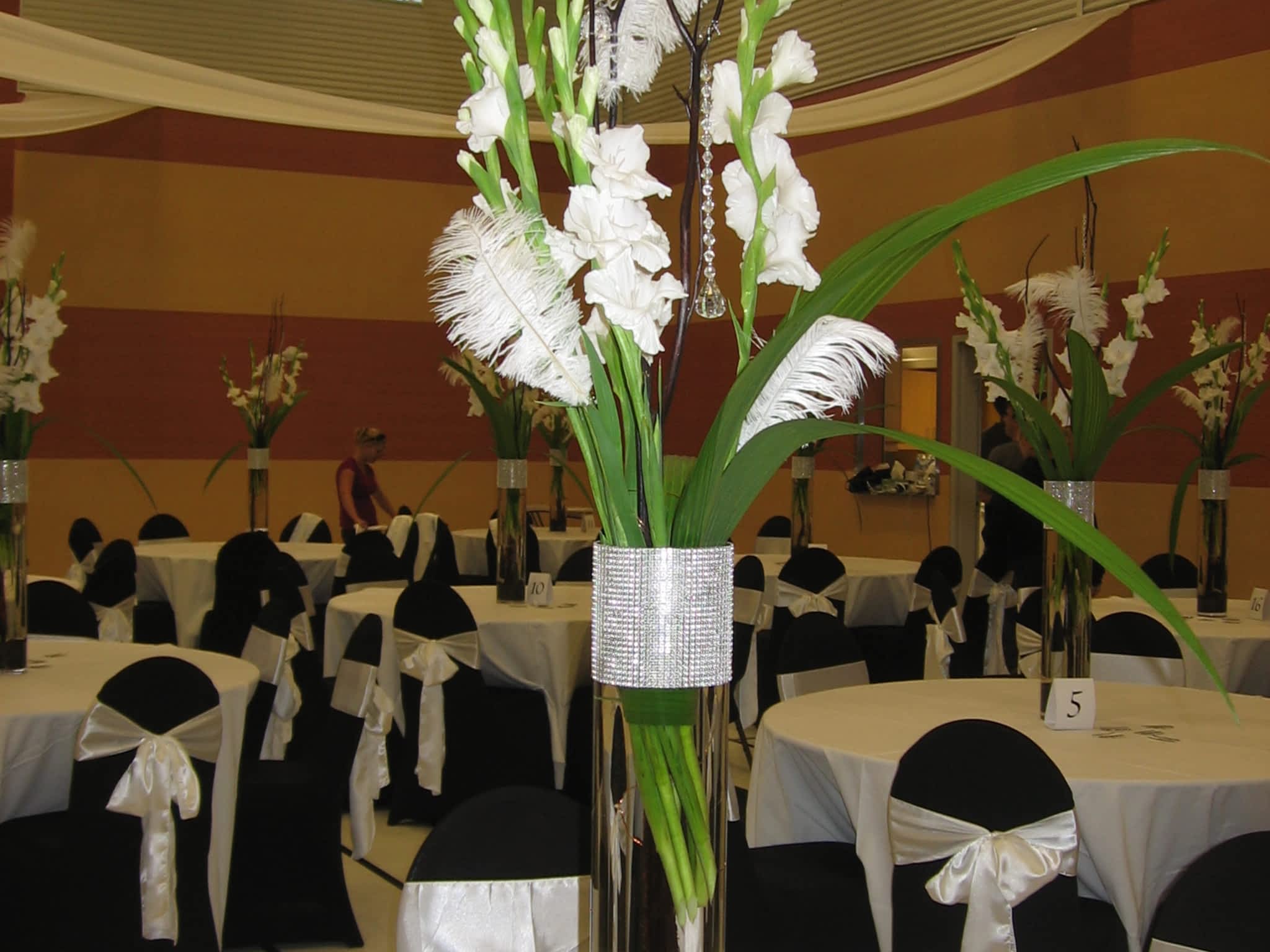 photo Fleurs De Laurier