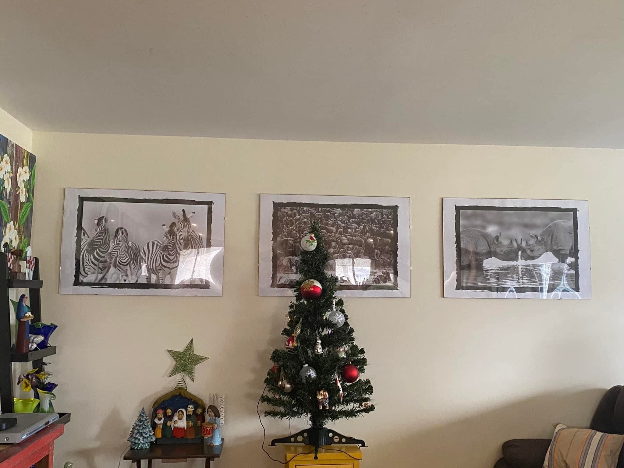 photo Sunset Cleaning