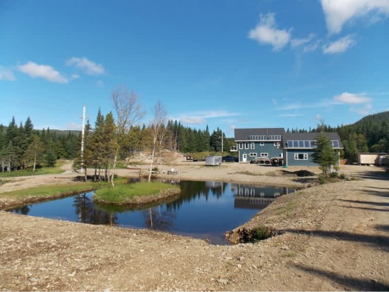 Jackie's Place Pollard's Point, NL Route 420 Canpages