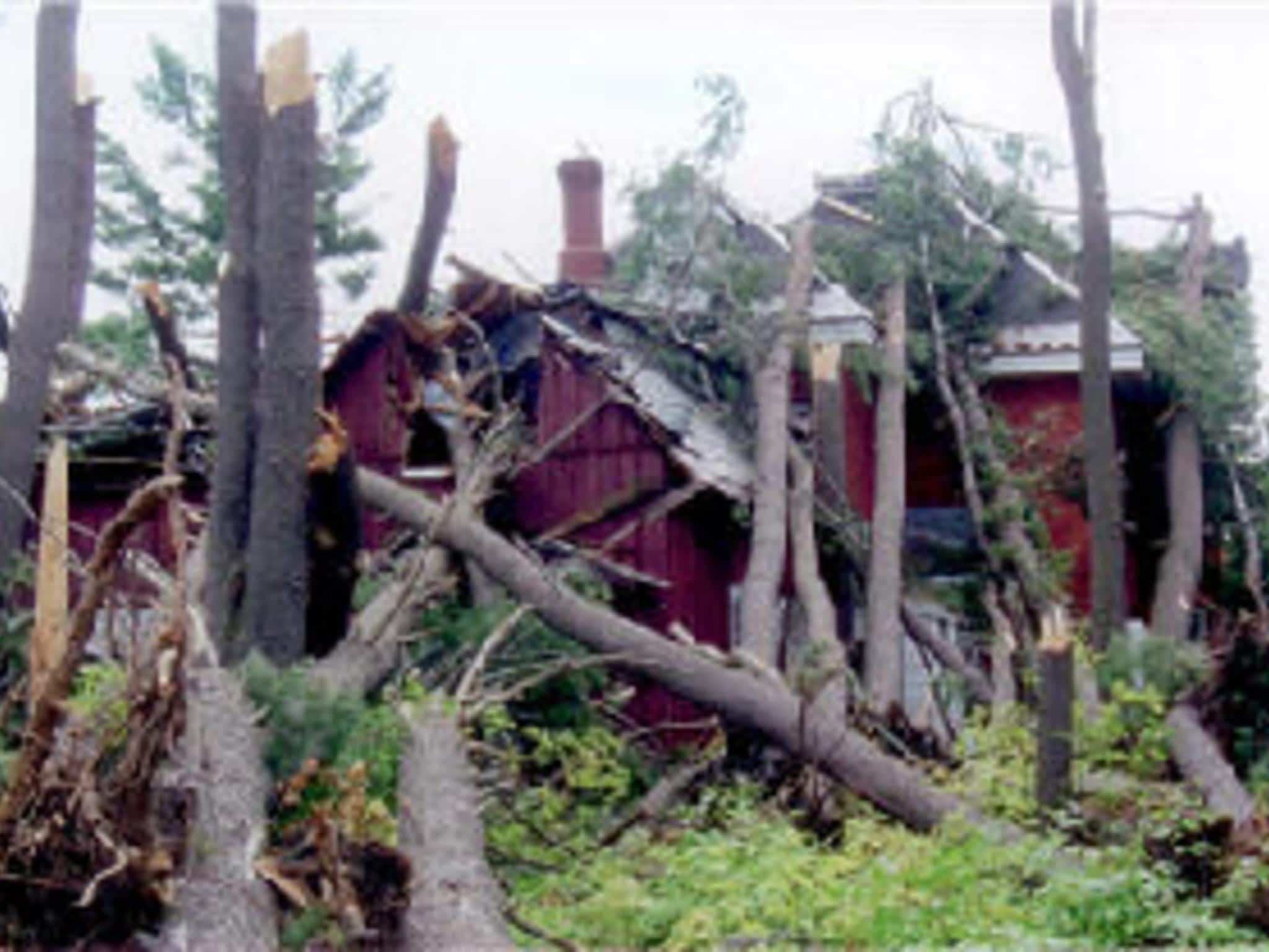 photo AAA Tree Service