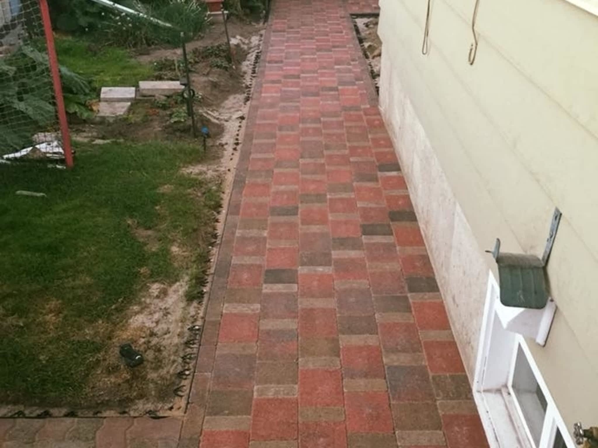 photo Evolutionary Wallscape