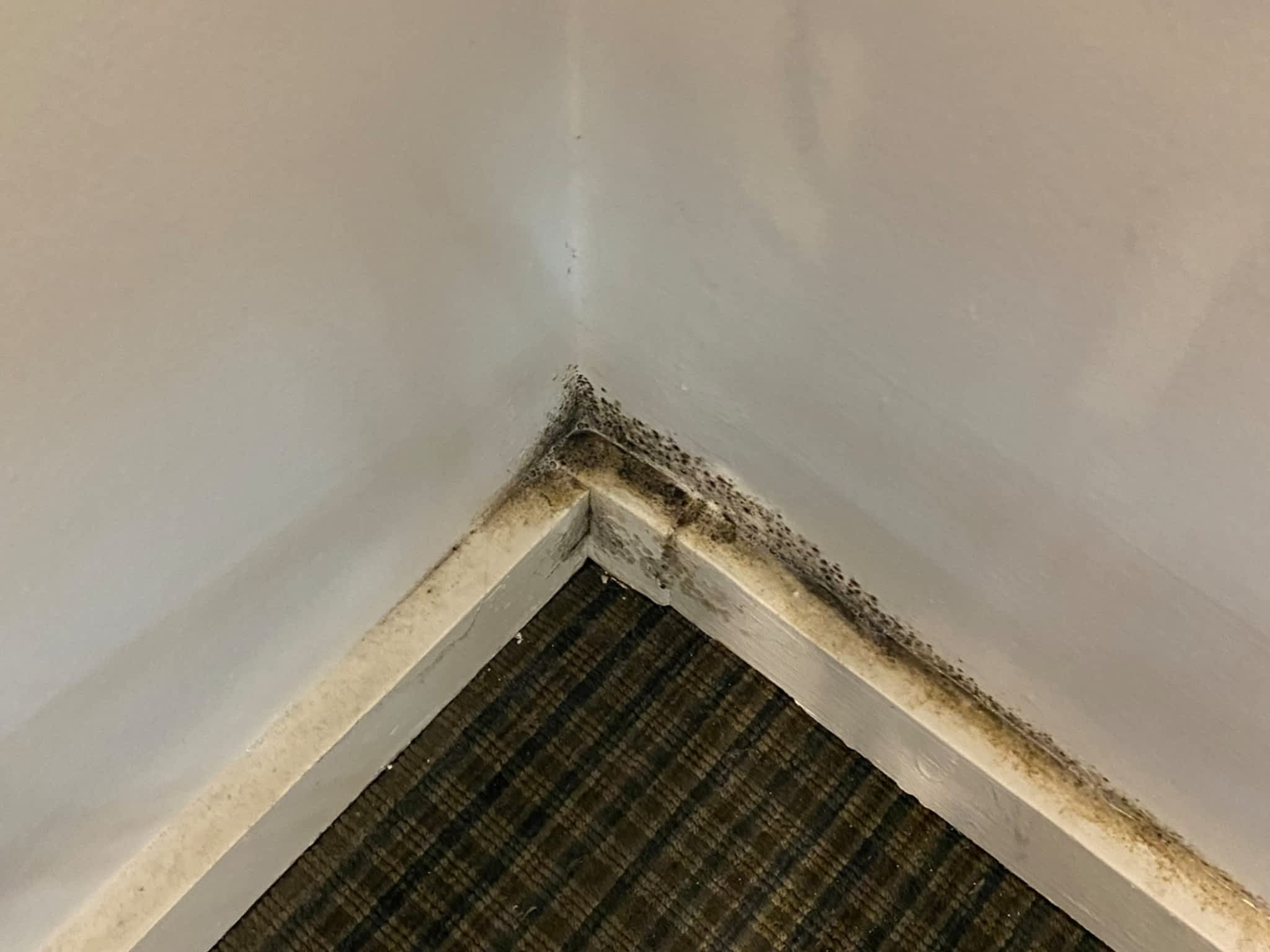 photo Voila Cleaning Services