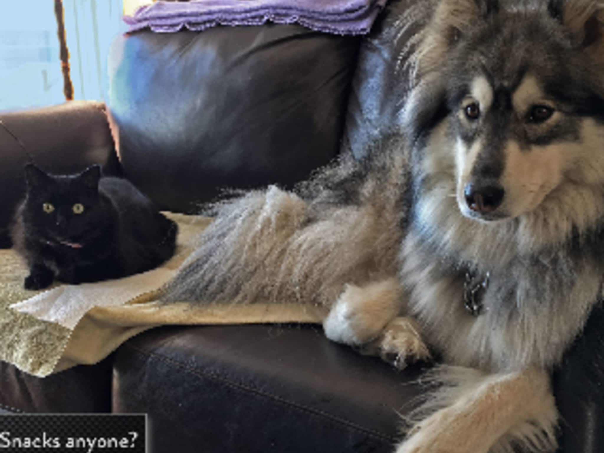 photo Catfish Creative