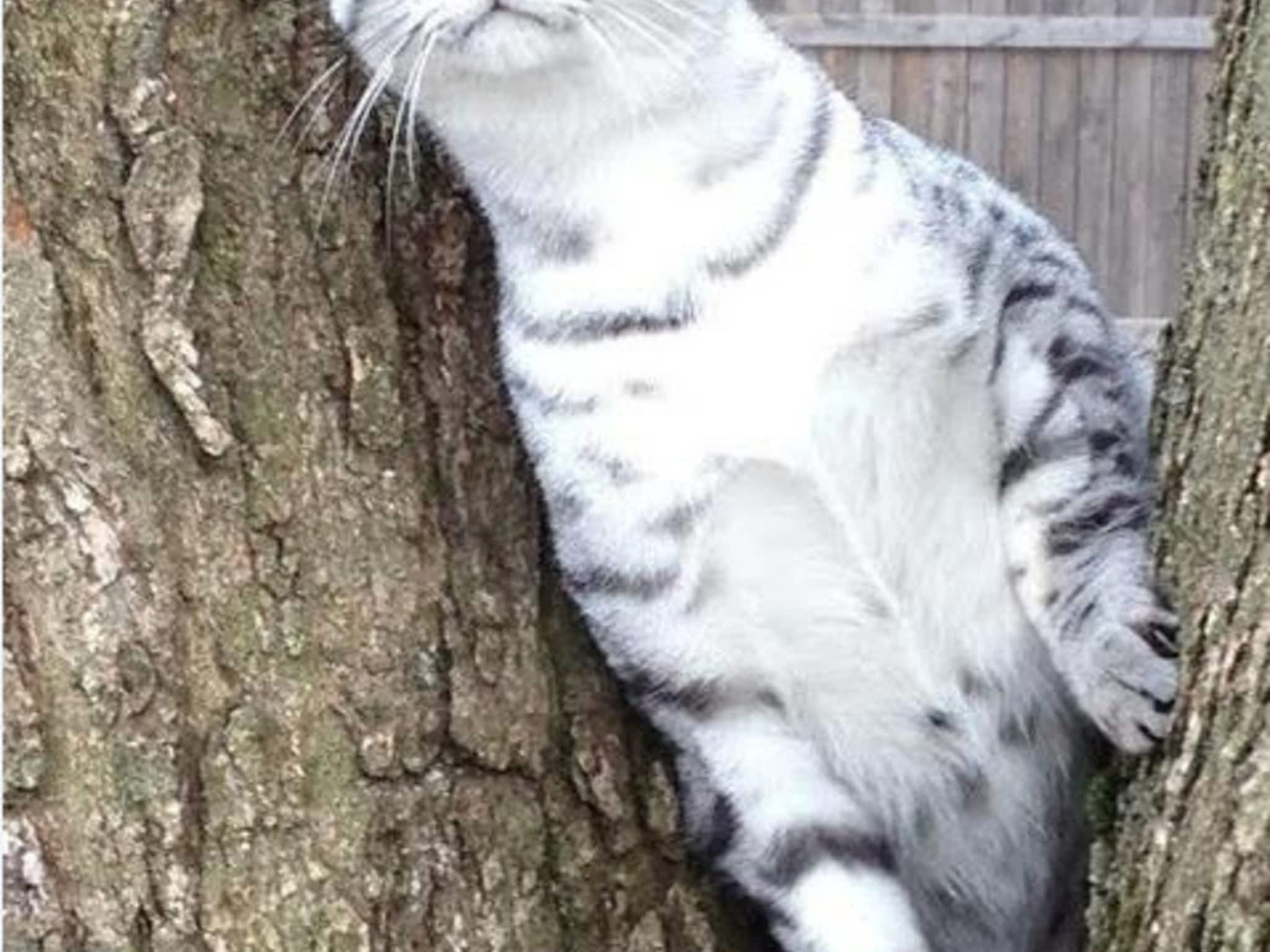 photo Monster Minder