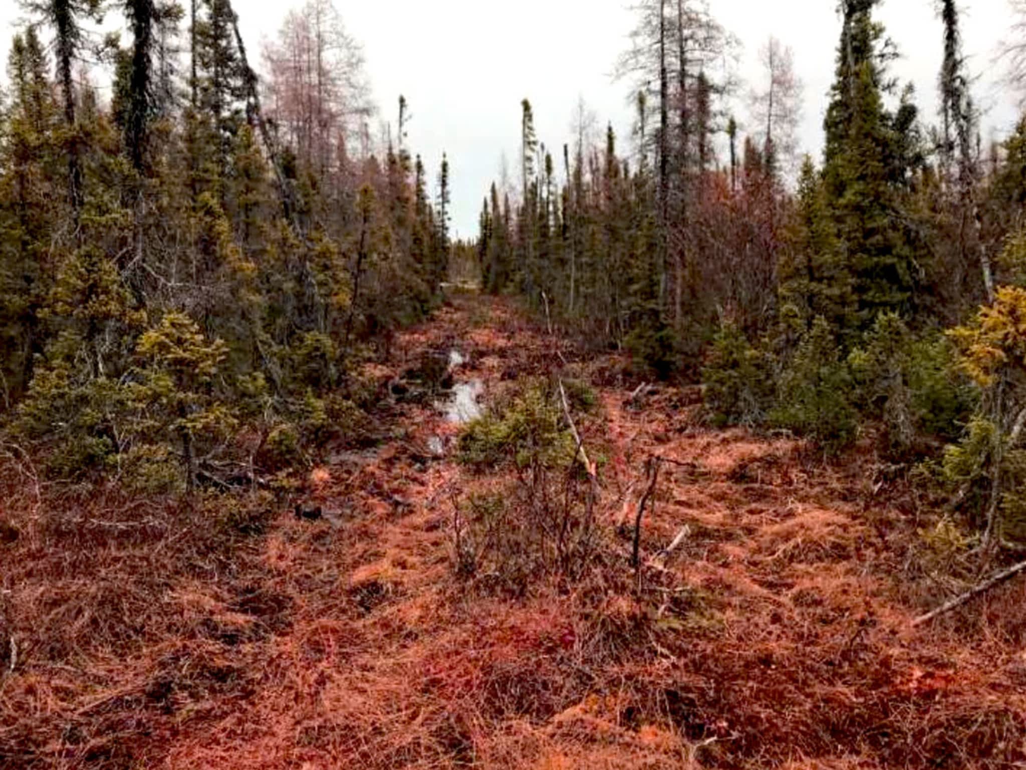 photo Groupe Alphard