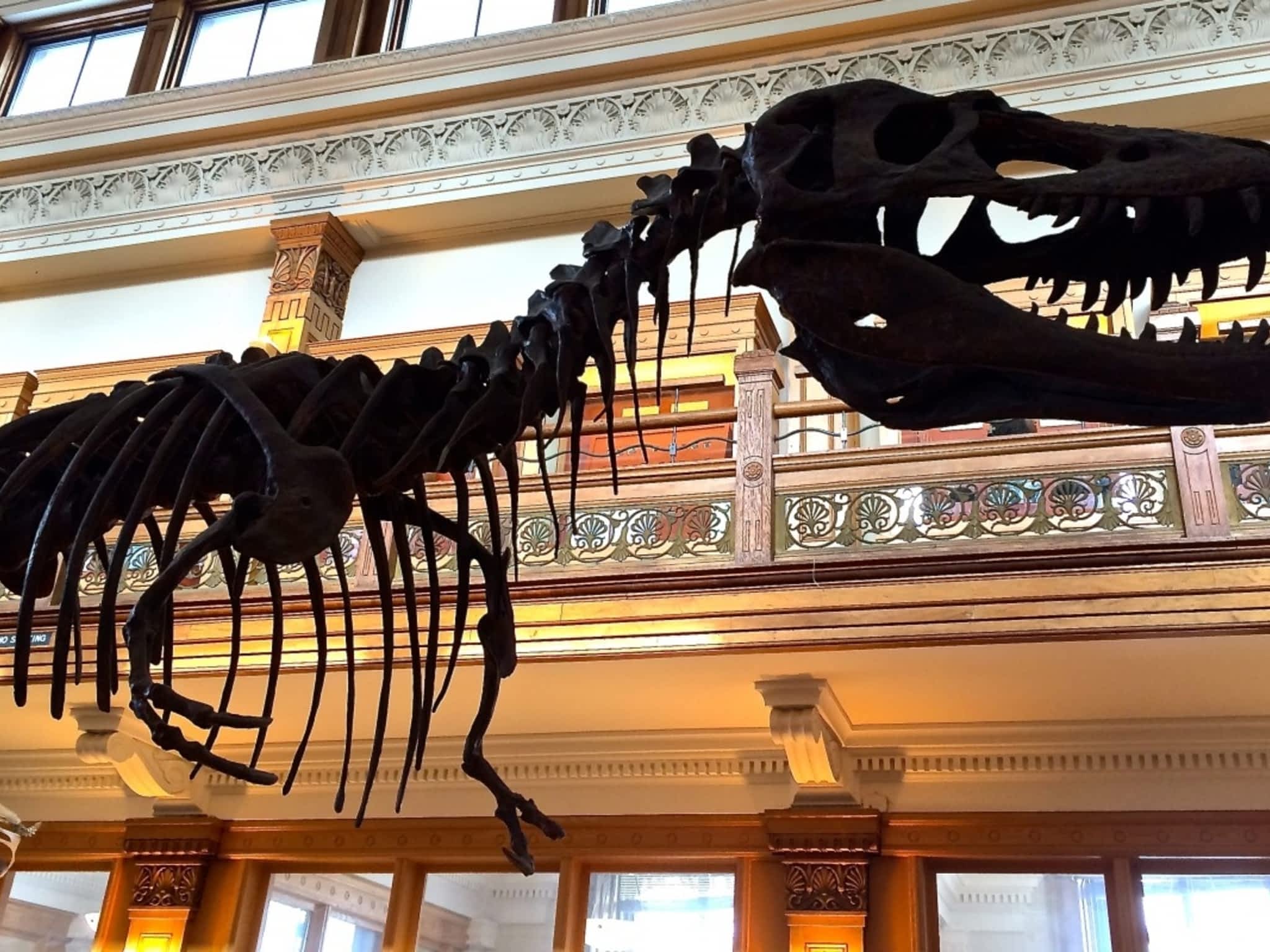 photo RedPath Museum