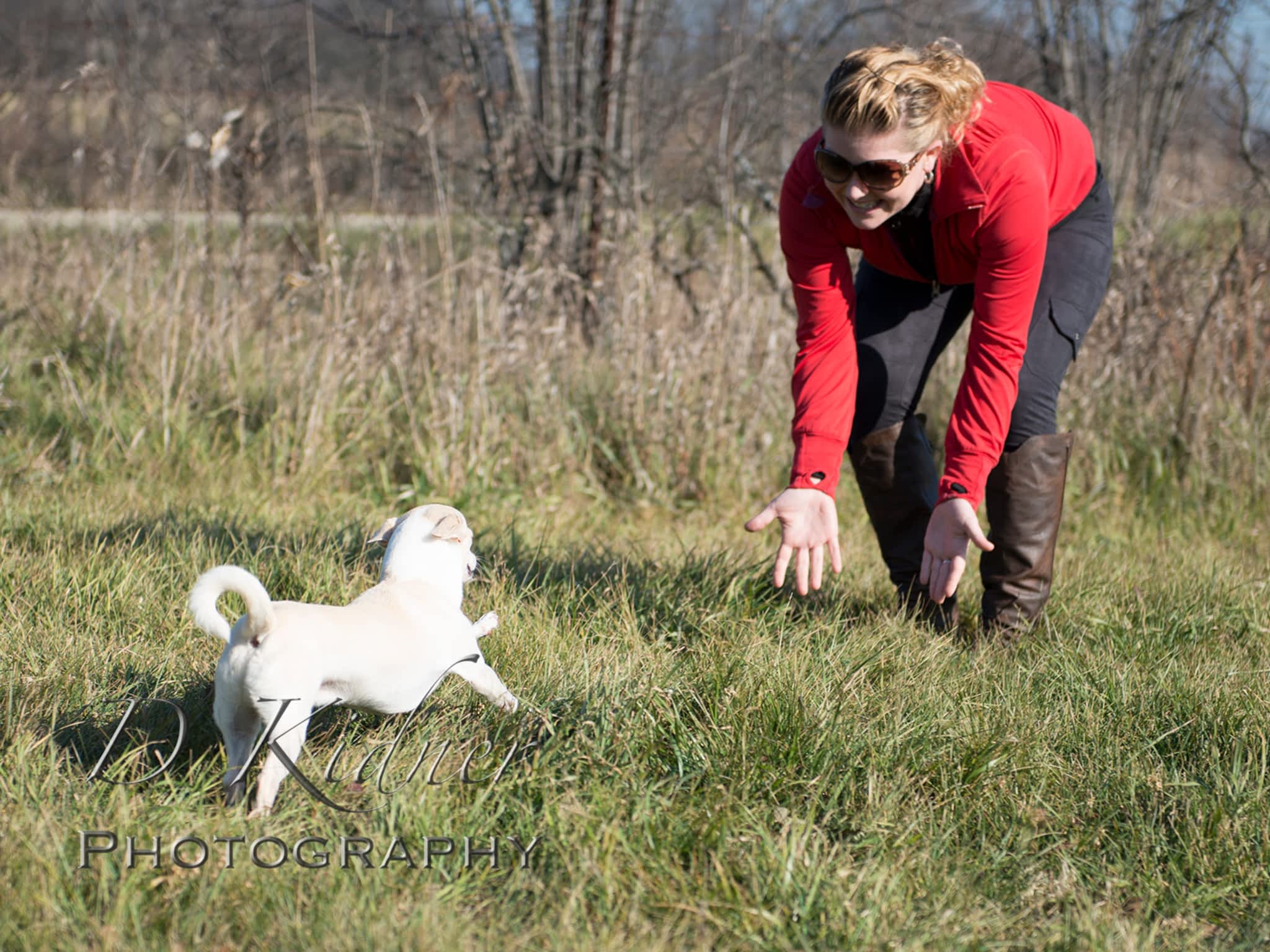 photo Pet Intel Behaviour Centre