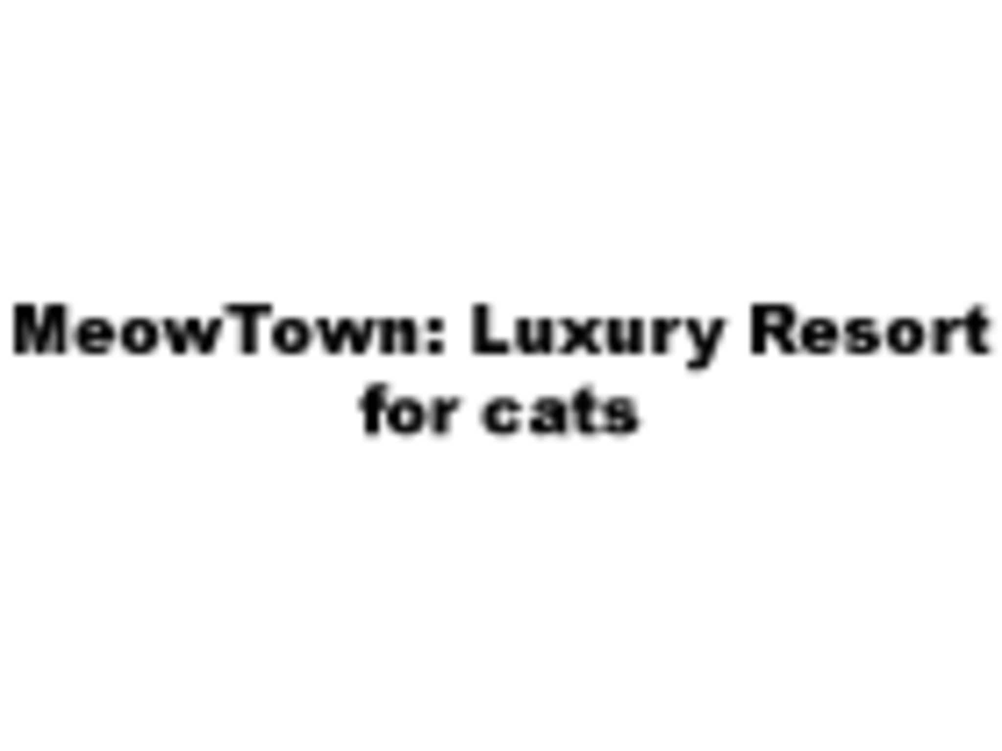photo MeowTown: Luxury Resort for Cats