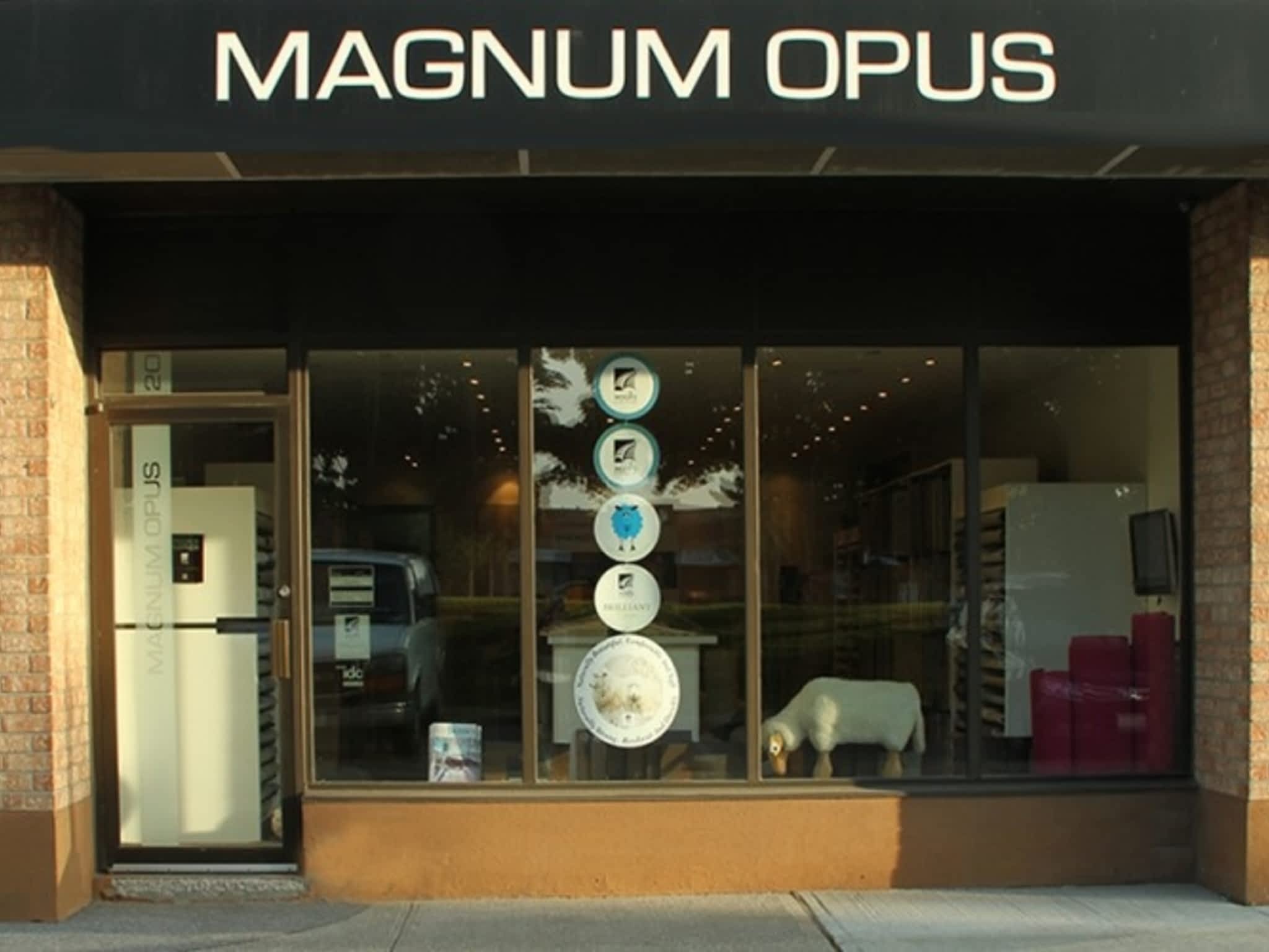 photo Magnum Opus Carpets Inc