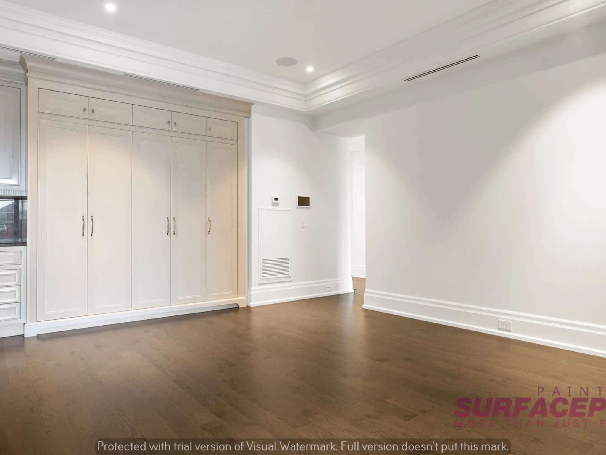 photo SurfacePro Painters