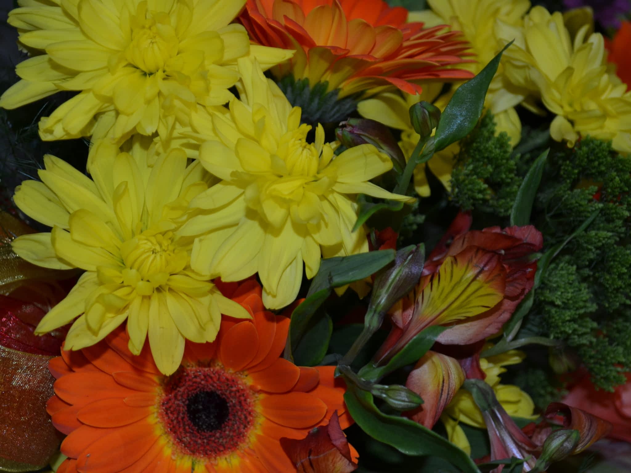 photo Treasure Chest