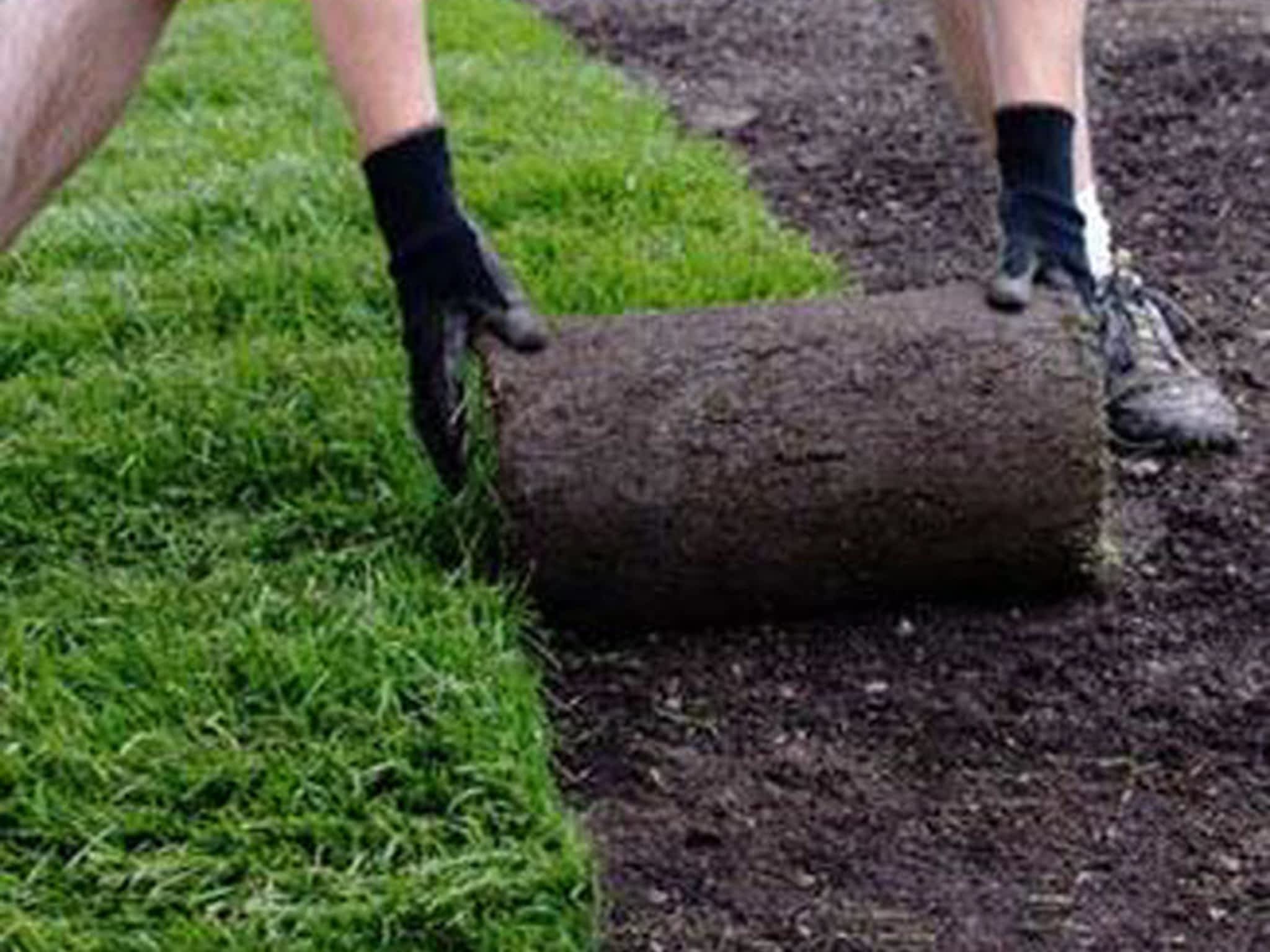 photo CBL Tree Service