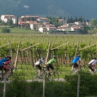 Steve Bauer Bike Tours - Sightseeing Guides & Tours