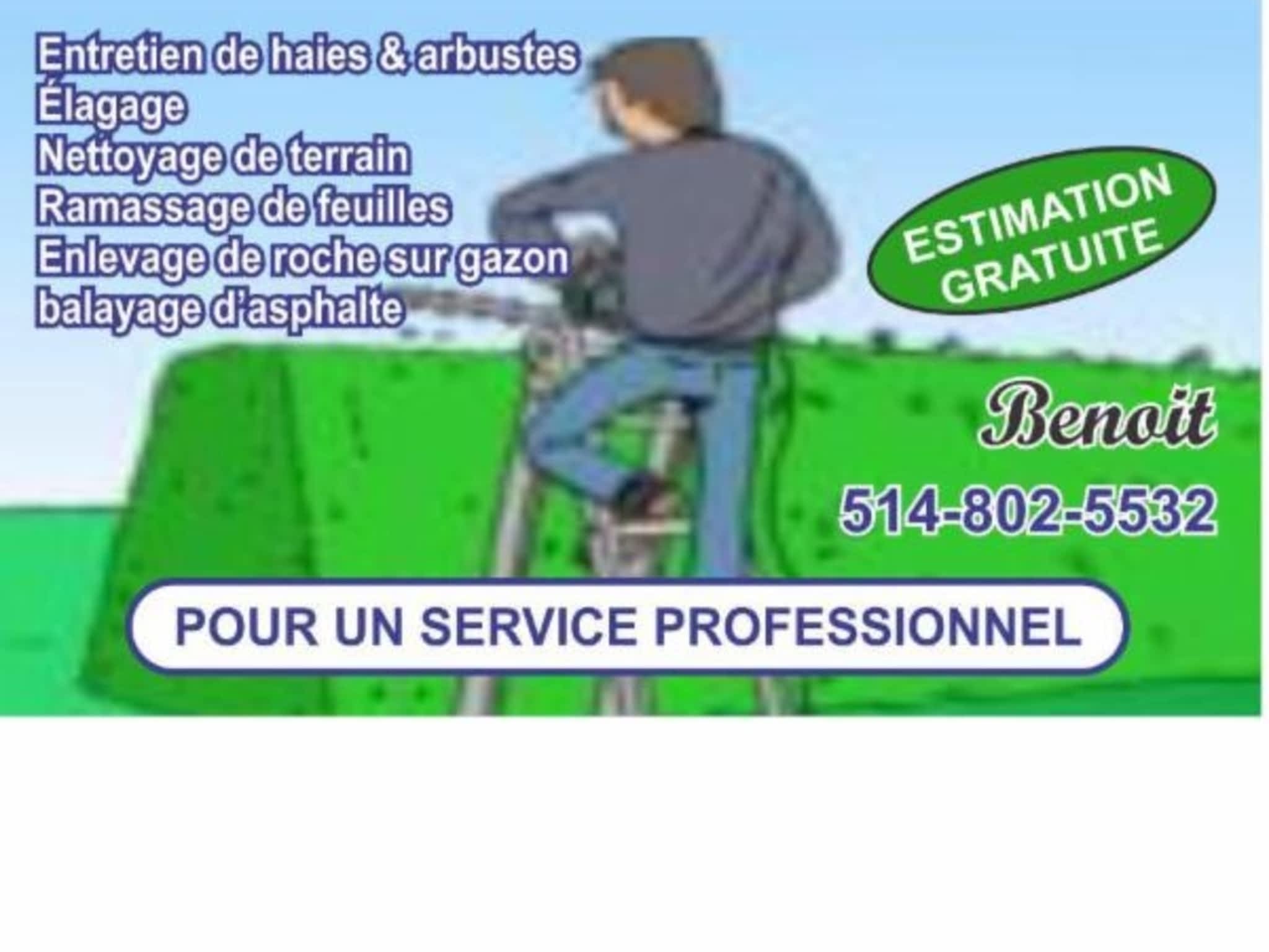 photo Benoit et ces Arbustes