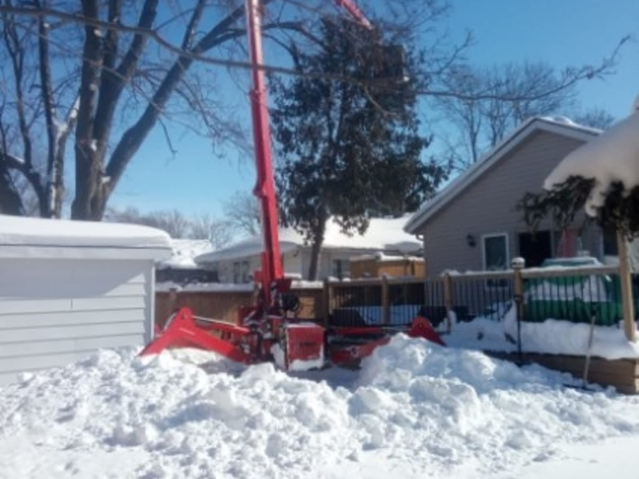 photo Kipfer Tree Service