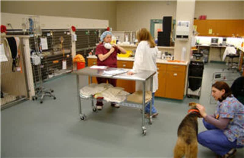 Canada West Veterinary Specialists &amp; Critical Care