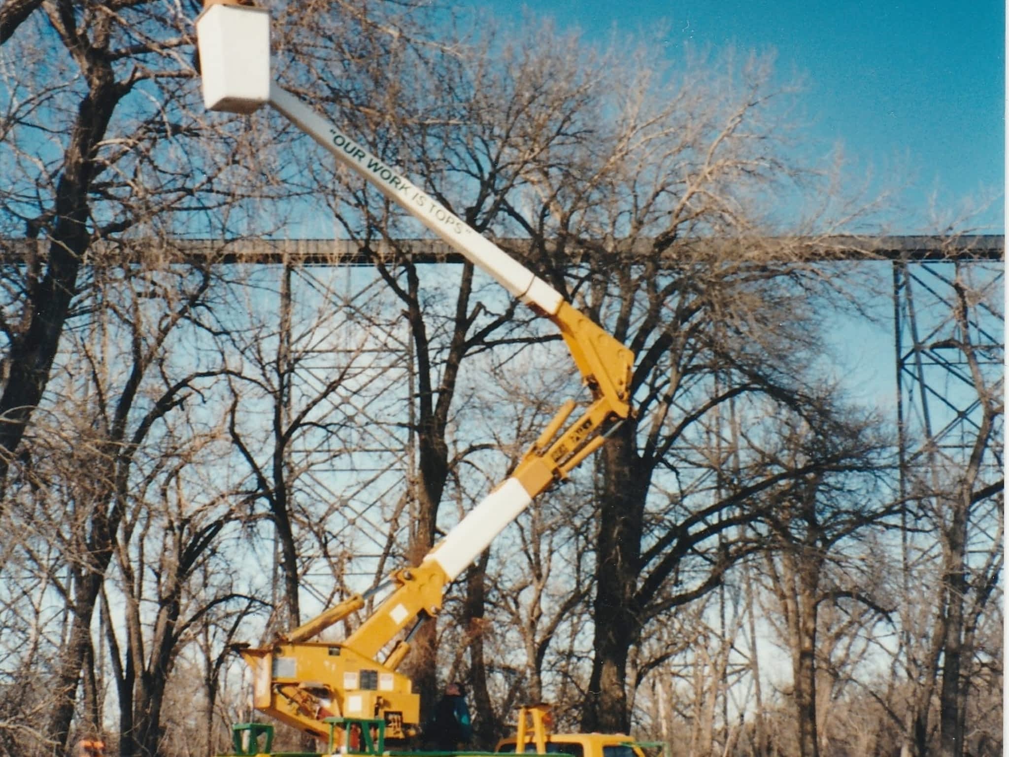 photo The Tree Man and Son