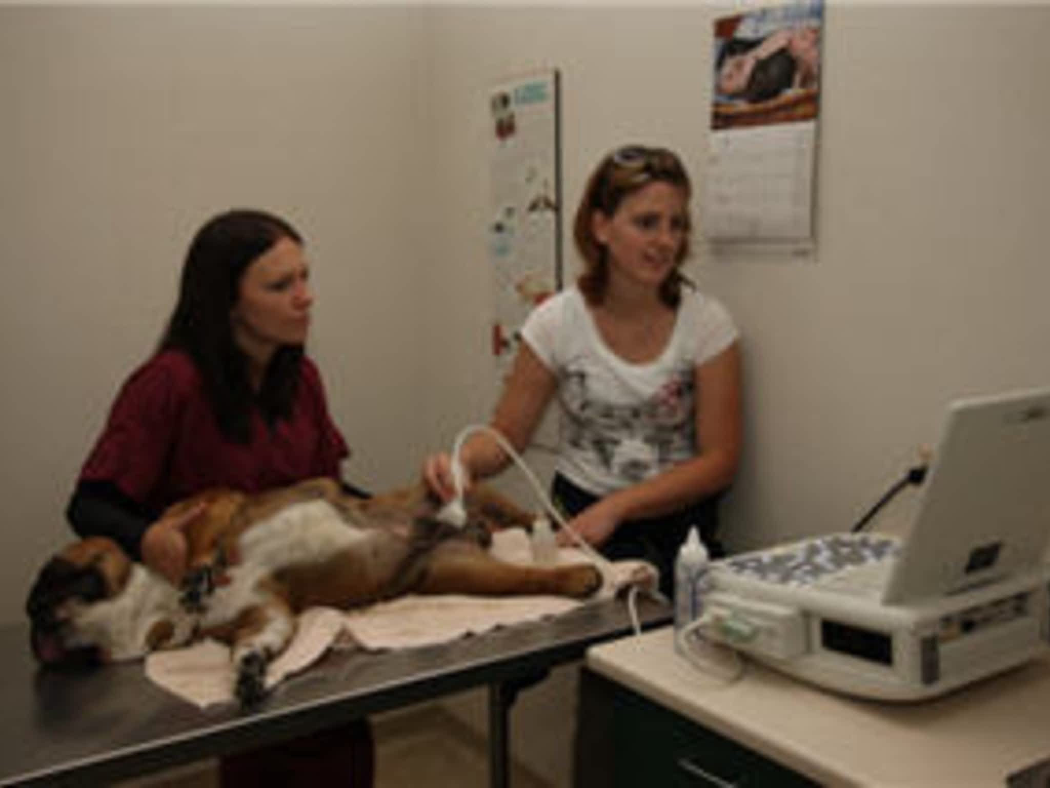 photo Burnaby Veterinary Hospital