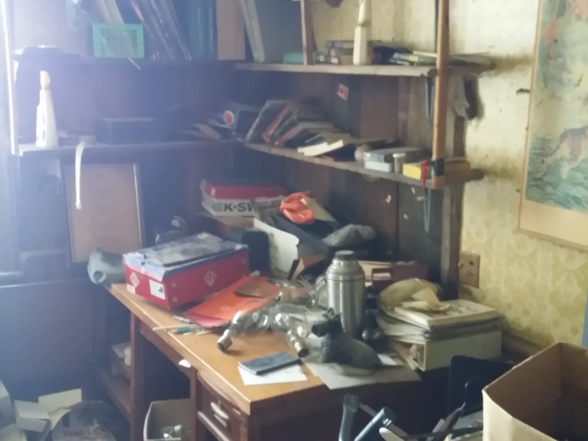 photo Goodbye Junk Cleanup & Bin Rental Services