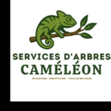 Services d'arbres Cameleon - Tree Service