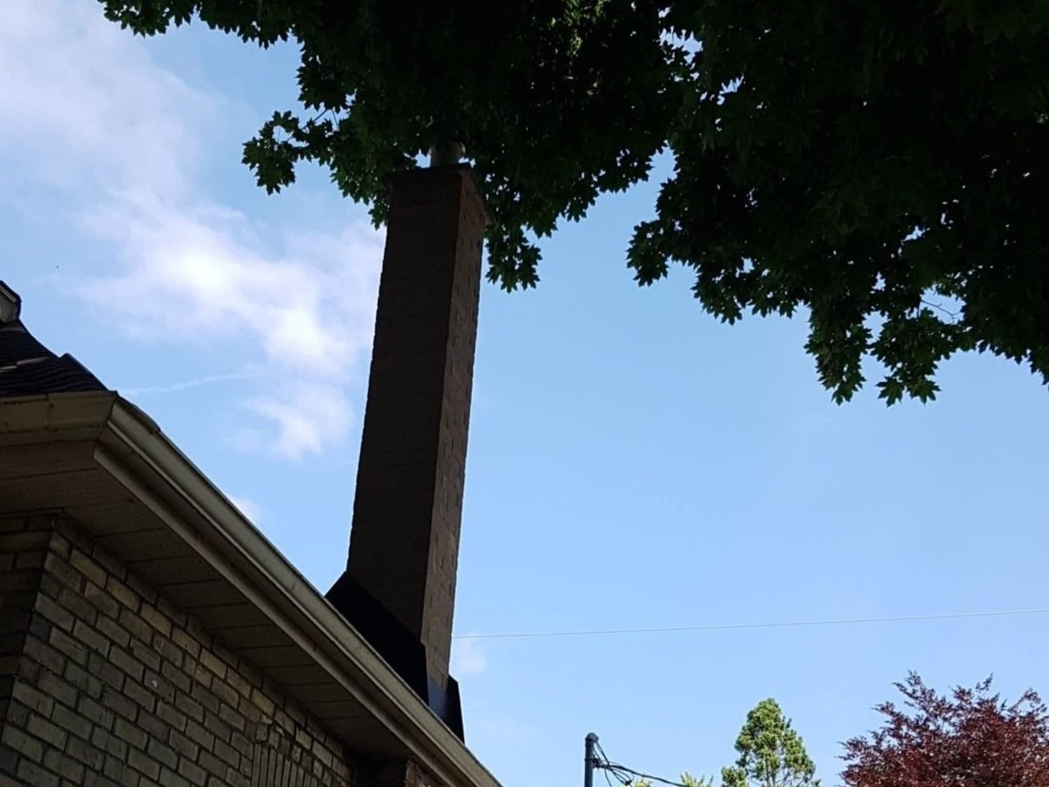 photo Wright's Tree Care