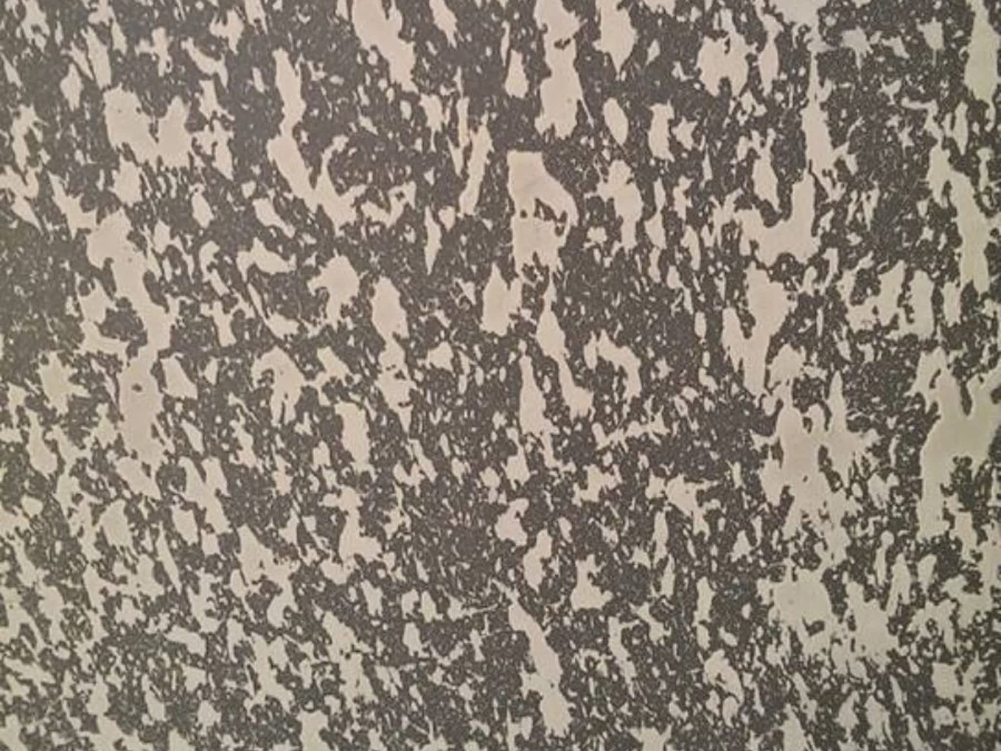 photo D - Kal Contracting