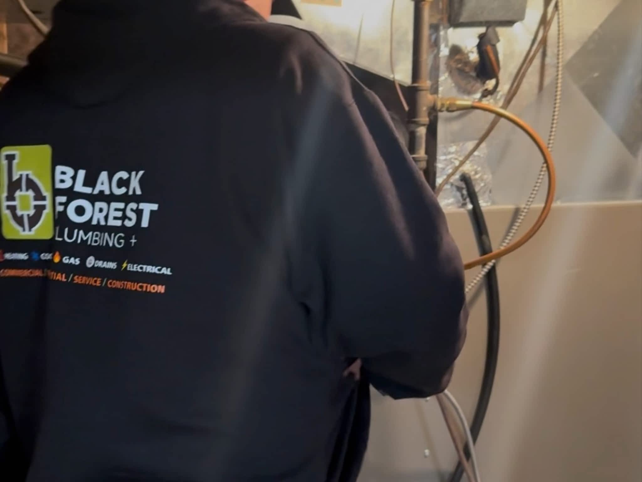 photo Black Forest