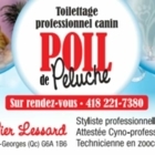 Le Salon Poil De Peluche Enr - Pet Grooming, Clipping & Washing