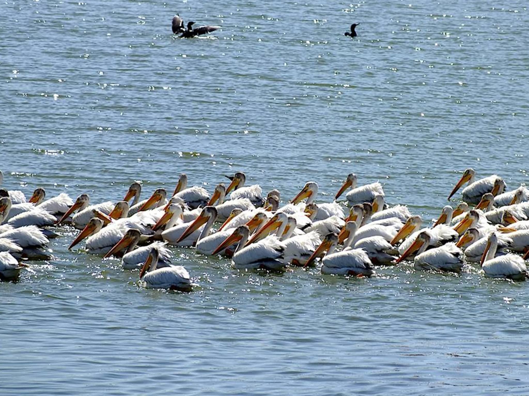 photo Brooks Lock & Safe