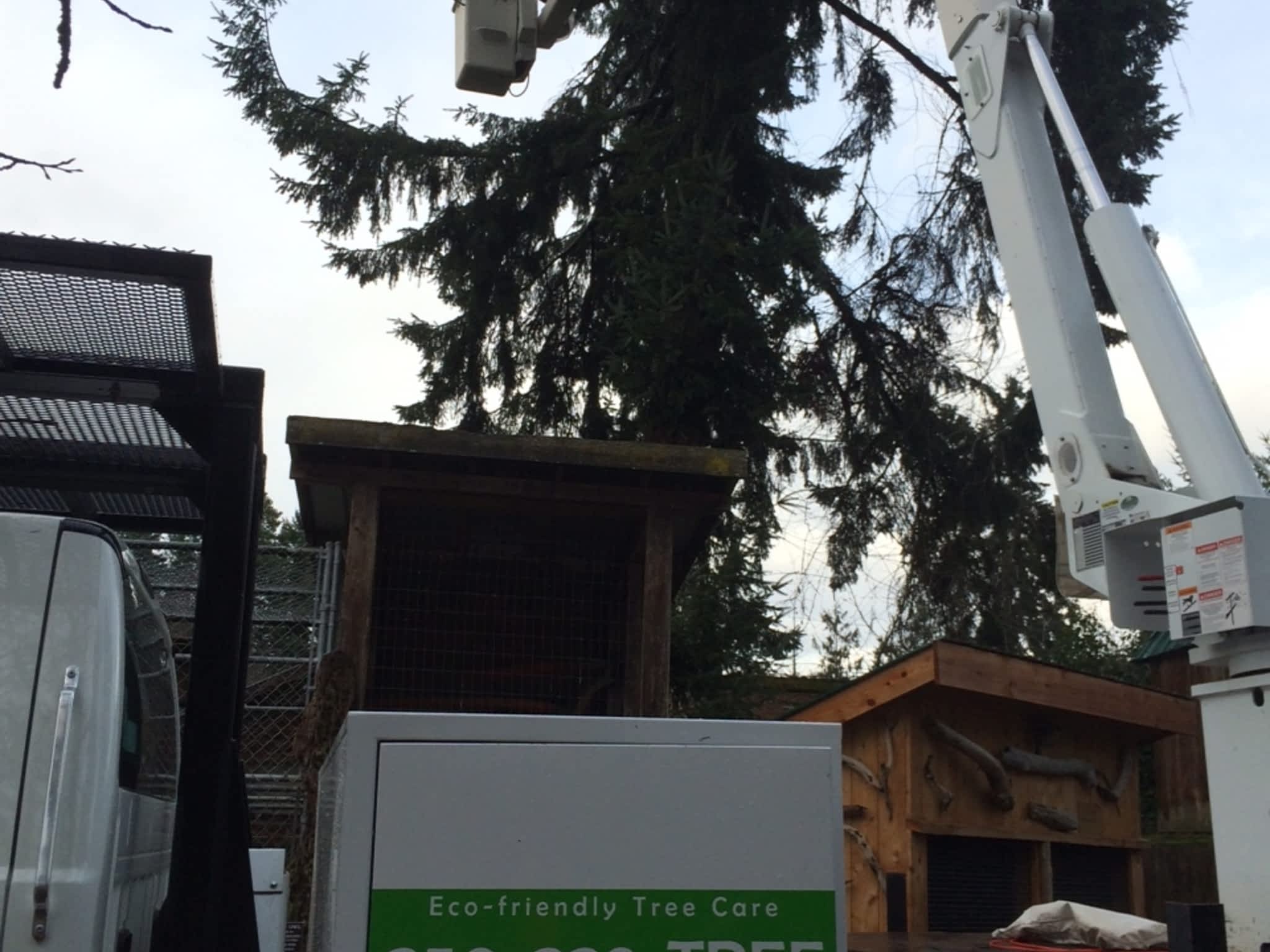 photo Treeco Tree Service