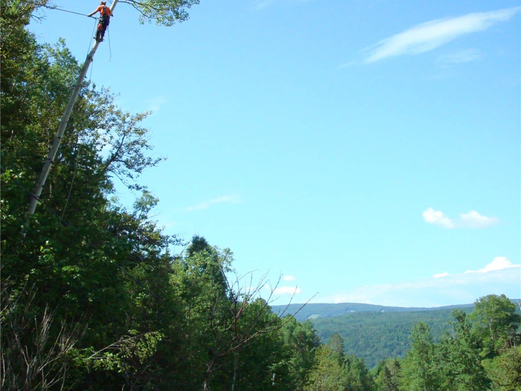 photo COOP de l'Arbre