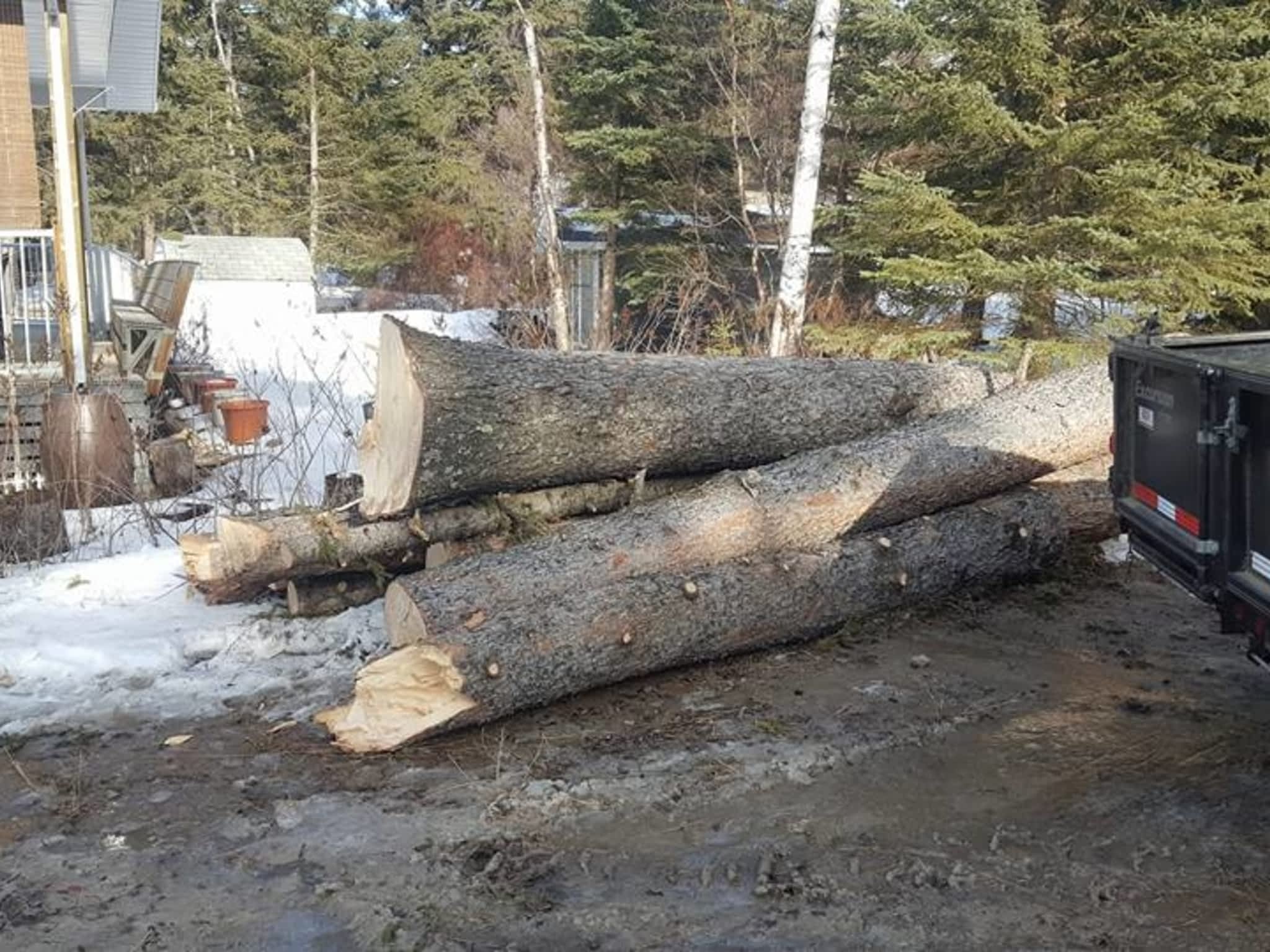 photo Borderline Services Ltd