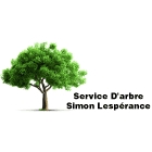 Service d'Arbre Simon Lespérance - Service d'entretien d'arbres